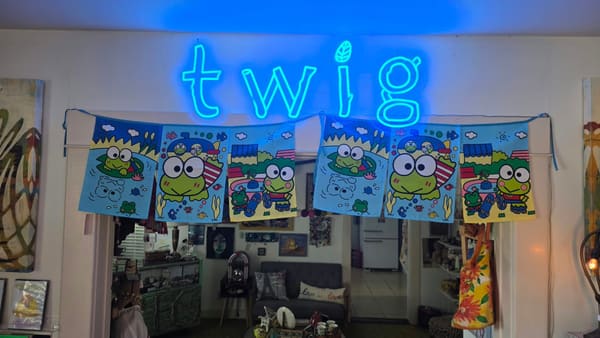 Twig's music room, with the glowing blue neon "twig" sign and colorful frog banners over the doorway