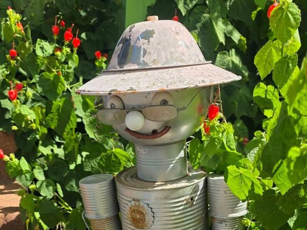 A smiling tin-can garden figure wearing a metal hat and glasses, surrounded by red blooms